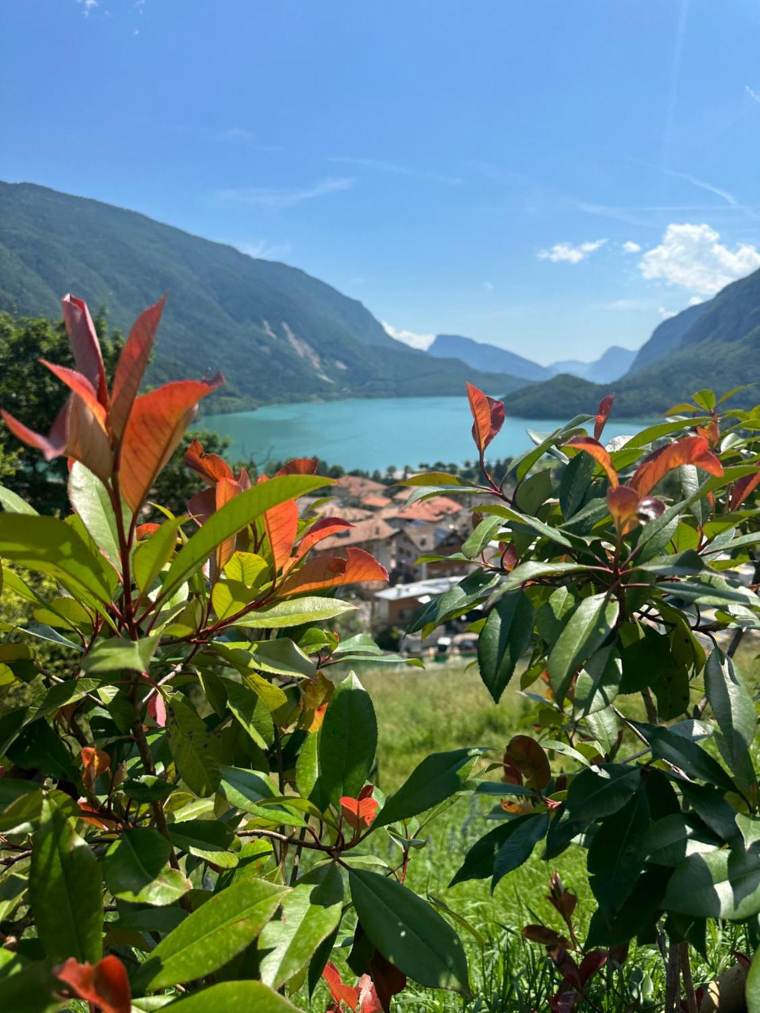 Villa La Dama Del Lago Molveno Exterior photo